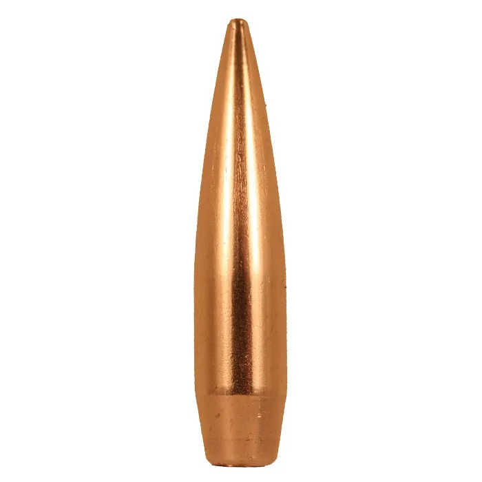 Rifle Bullets Precision Reloading
